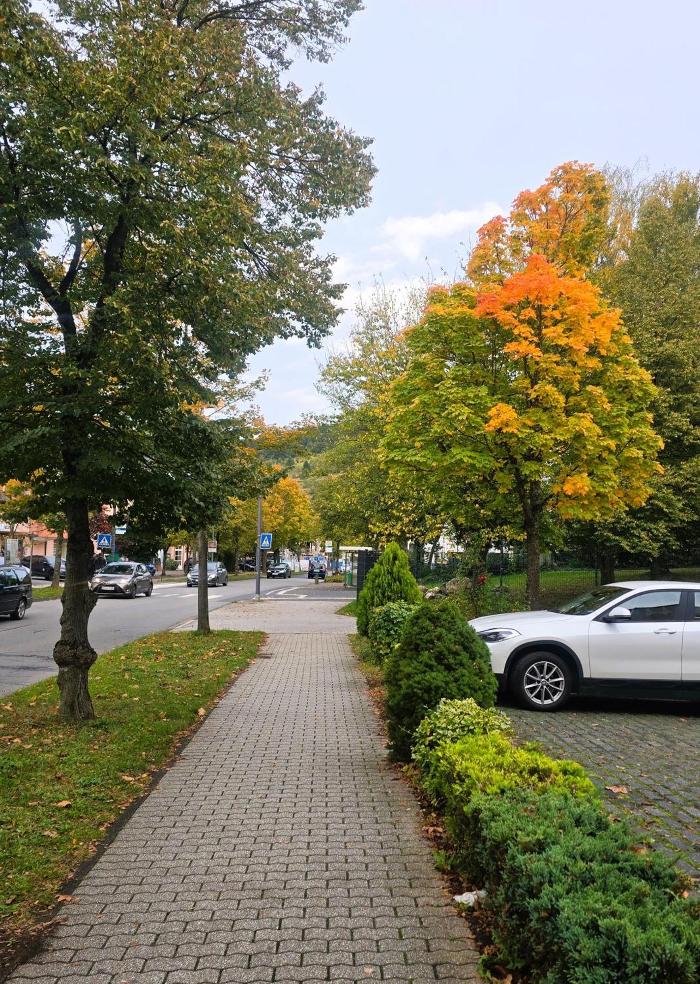 Hotel Zur Moselbruecke Schweich Kültér fotó