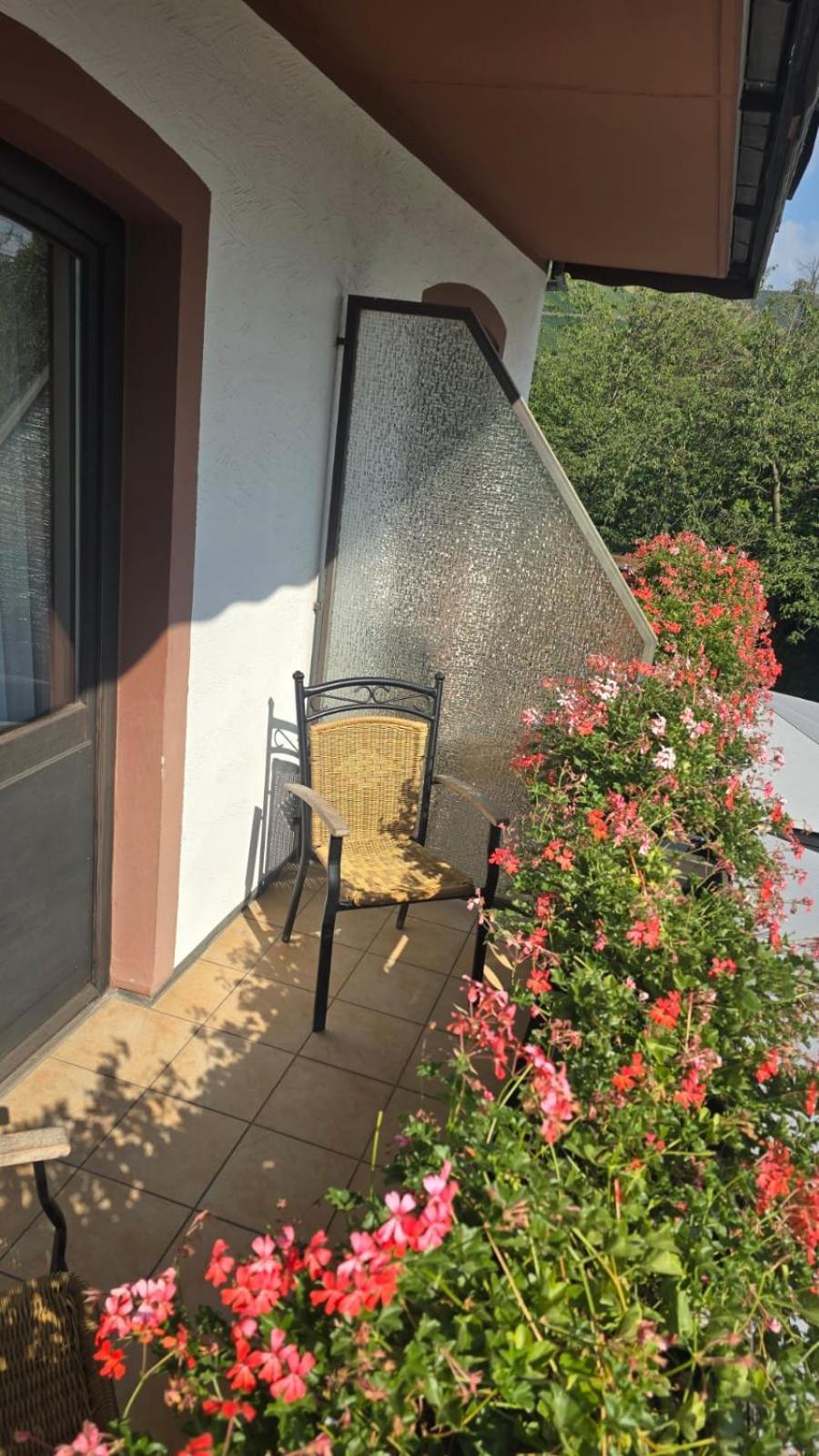 Hotel Zur Moselbruecke Schweich Kültér fotó